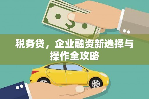 南票税务贷，企业融资新选择与操作全攻略