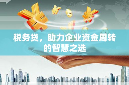 南票税务贷，助力企业资金周转的智慧之选