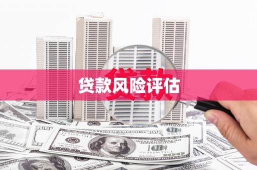 南票贷款风险评估