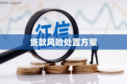 南票贷款风险处置方案