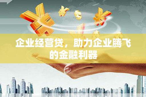 南票企业经营贷，助力企业腾飞的金融利器
