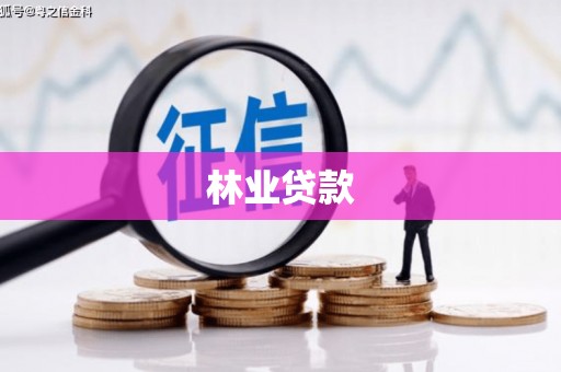 南票林业贷款