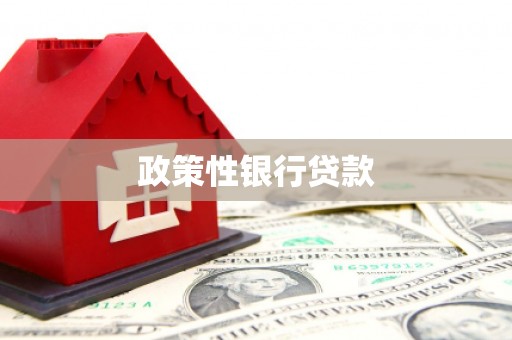 南票政策性银行贷款