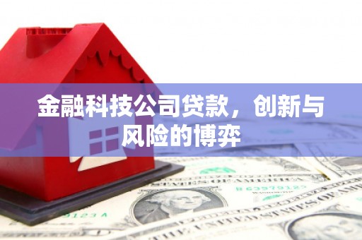 南票金融科技公司贷款，创新与风险的博弈