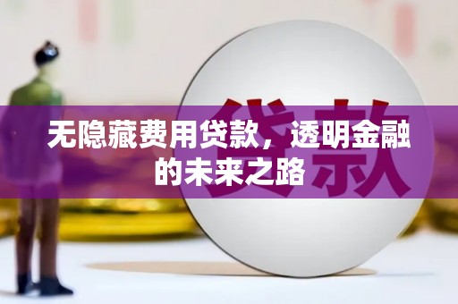 南票无隐藏费用贷款，透明金融的未来之路