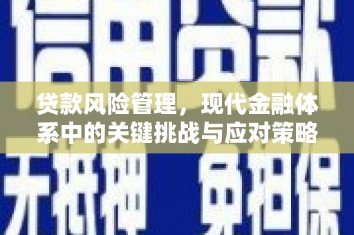南票贷款风险管理，现代金融体系中的关键挑战与应对策略