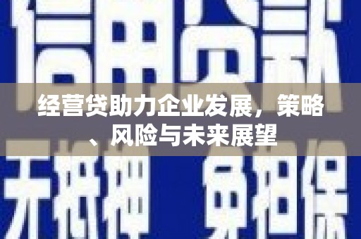 南票经营贷助力企业发展，策略、风险与未来展望