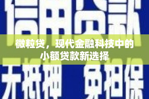 南票微粒贷，现代金融科技中的小额贷款新选择