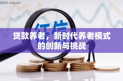 南票贷款养老，新时代养老模式的创新与挑战