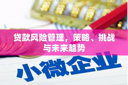 南票贷款风险管理，策略、挑战与未来趋势