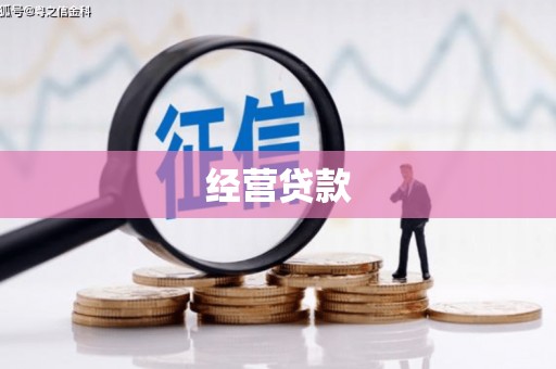 南票经营贷款
