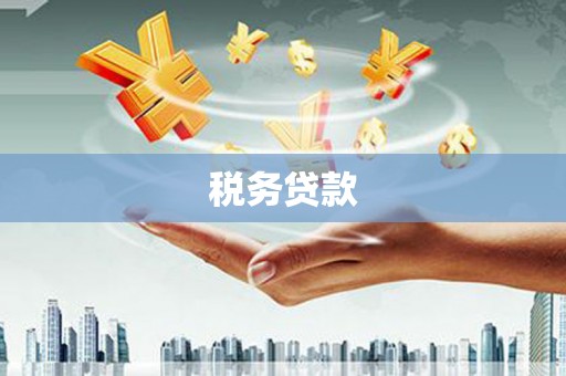 南票税务贷款