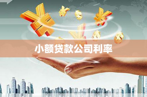 南票小额贷款公司利率