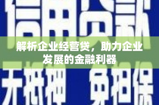 南票解析企业经营贷，助力企业发展的金融利器