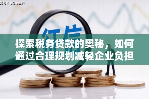 南票探索税务贷款的奥秘，如何通过合理规划减轻企业负担