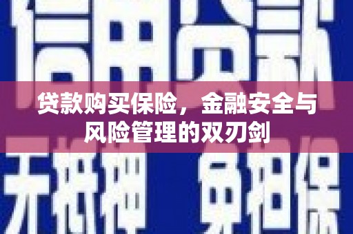 南票贷款购买保险，金融安全与风险管理的双刃剑