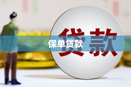 南票保单贷款