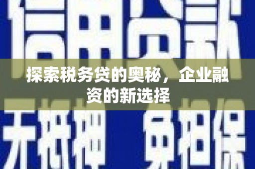 南票探索税务贷的奥秘，企业融资的新选择