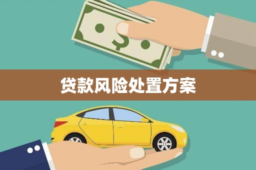 南票贷款风险处置方案