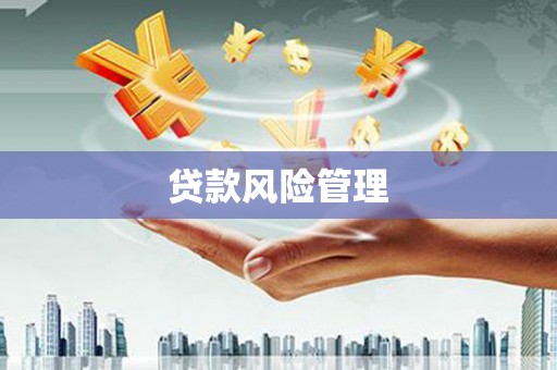 南票贷款风险管理
