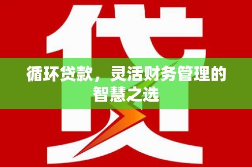 南票循环贷款，灵活财务管理的智慧之选