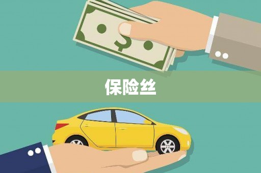 南票保险丝