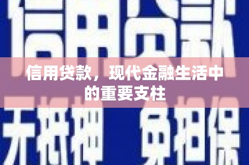 南票信用贷款，现代金融生活中的重要支柱