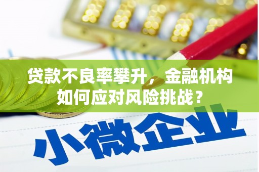 南票贷款不良率攀升，金融机构如何应对风险挑战？