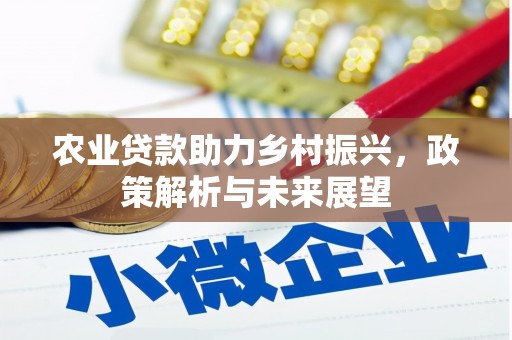 南票农业贷款助力乡村振兴，政策解析与未来展望