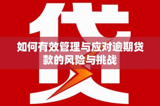 南票如何有效管理与应对逾期贷款的风险与挑战