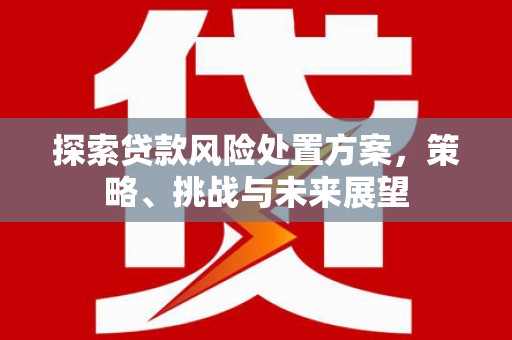 南票探索贷款风险处置方案，策略、挑战与未来展望