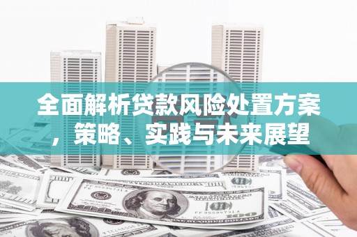 南票全面解析贷款风险处置方案，策略、实践与未来展望