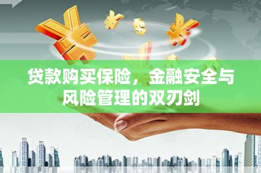 南票贷款购买保险，金融安全与风险管理的双刃剑