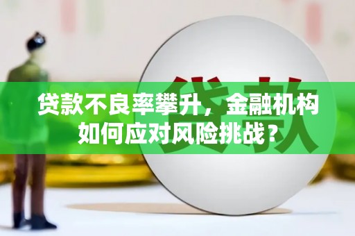 南票贷款不良率攀升，金融机构如何应对风险挑战？