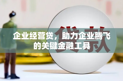 南票企业经营贷，助力企业腾飞的关键金融工具
