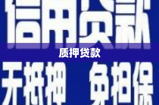 南票质押贷款