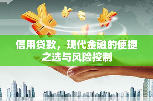 南票信用贷款，现代金融的便捷之选与风险控制