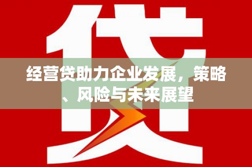 南票经营贷助力企业发展，策略、风险与未来展望