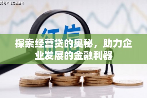 南票探索经营贷的奥秘，助力企业发展的金融利器