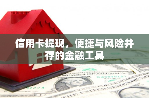 南票信用卡提现，便捷与风险并存的金融工具
