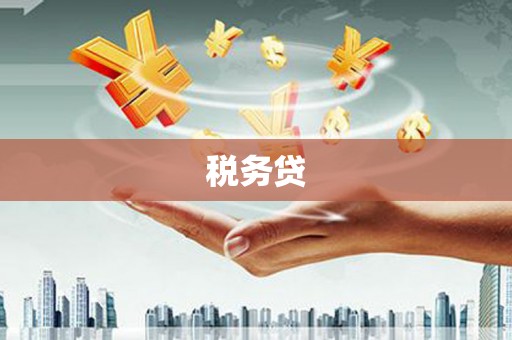 南票税务贷