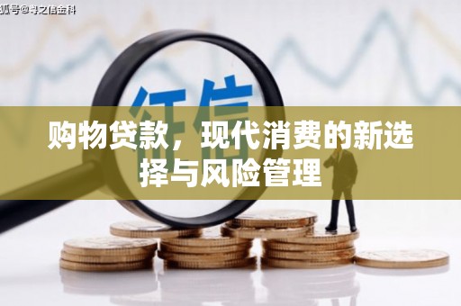 南票购物贷款，现代消费的新选择与风险管理