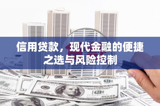 南票信用贷款，现代金融的便捷之选与风险控制