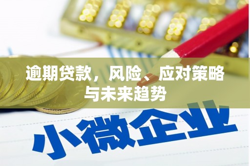 南票逾期贷款，风险、应对策略与未来趋势
