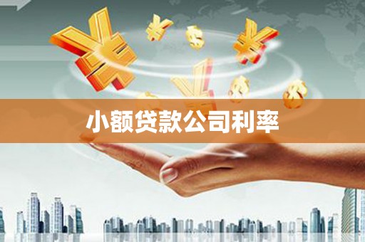 南票小额贷款公司利率