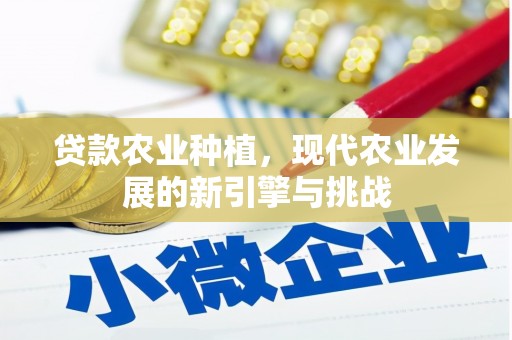 南票贷款农业种植，现代农业发展的新引擎与挑战