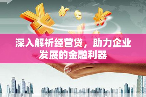 南票深入解析经营贷，助力企业发展的金融利器