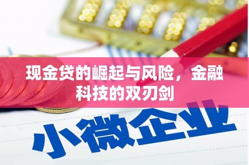 南票现金贷的崛起与风险，金融科技的双刃剑