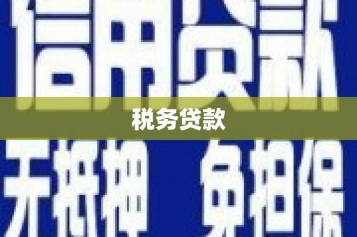 南票税务贷款