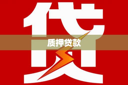 南票质押贷款